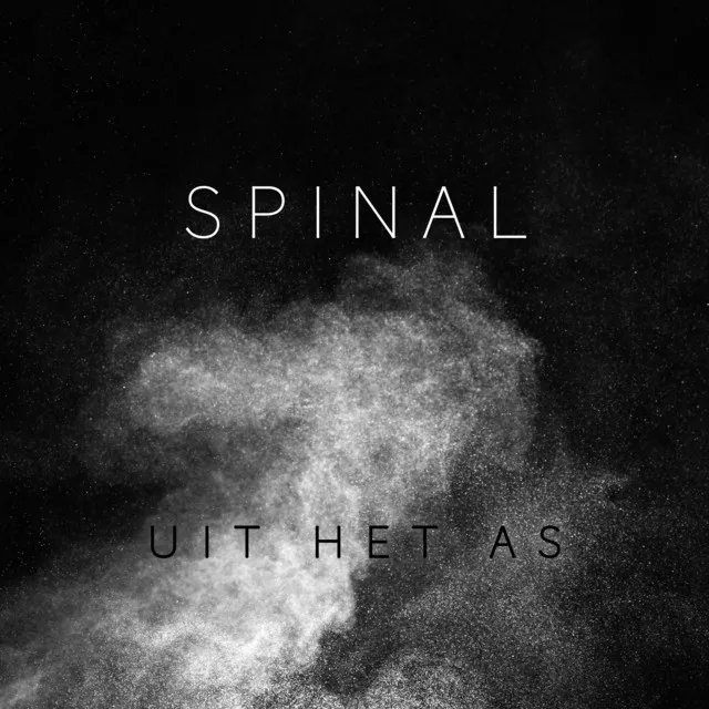 Spinal