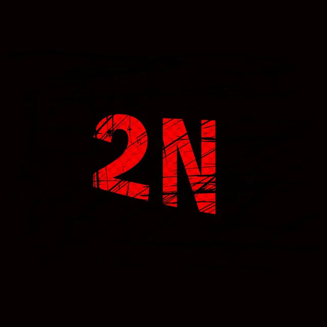 2N