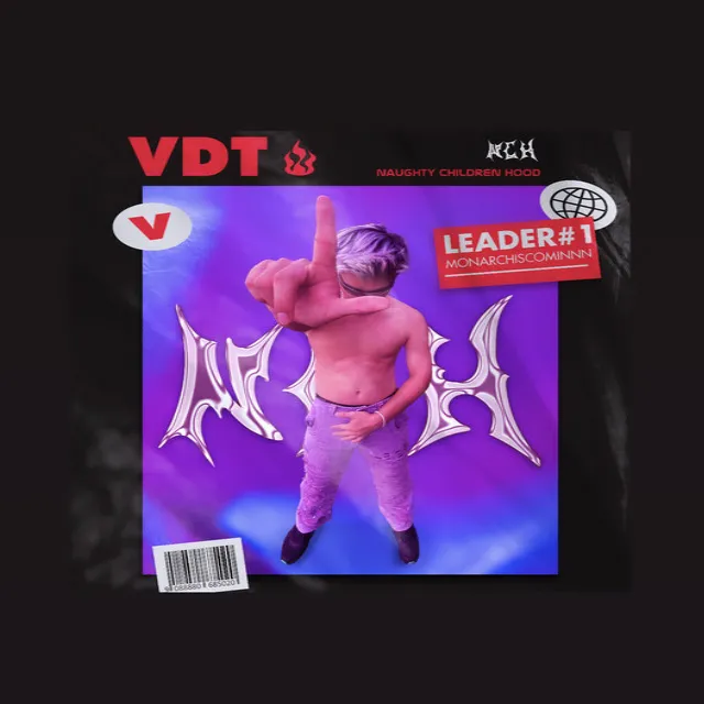 VDT