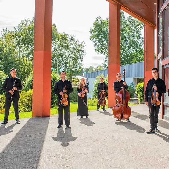 Orquesta de Cámara de Valdivia