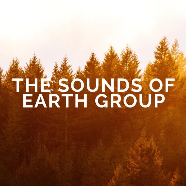 The Sounds of Earth Group