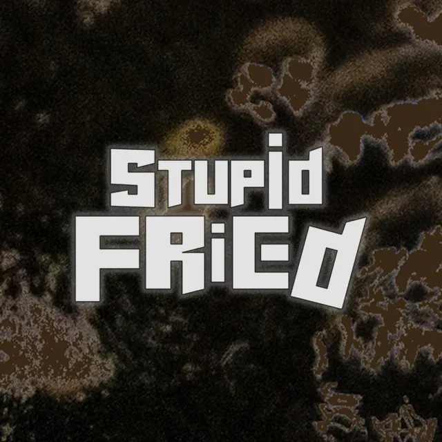 Stupid Fried