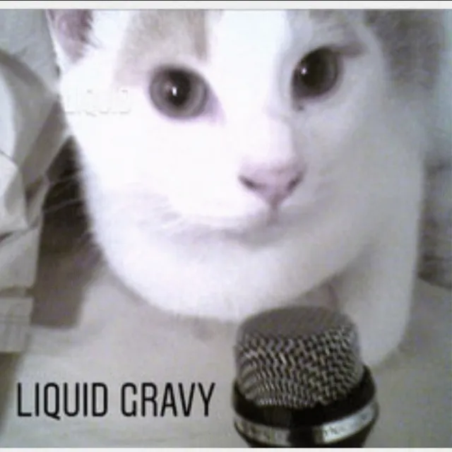 Liquid Gravy