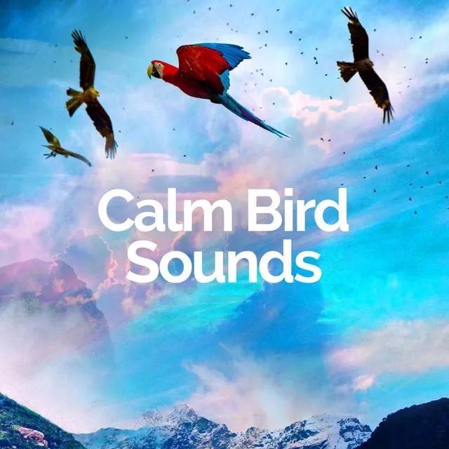 Calm Bird Sounds