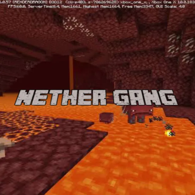 NetherGang