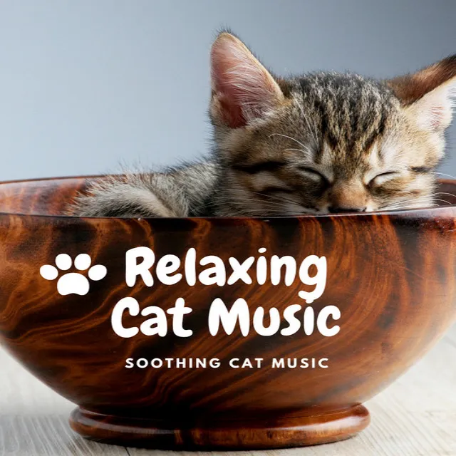 Soothing Cat Music