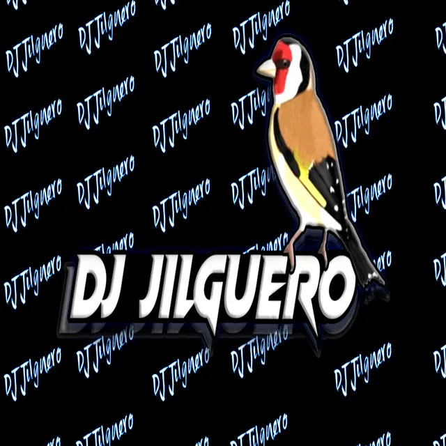 DJ Jilguero