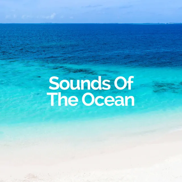 Sounds Of The Ocean