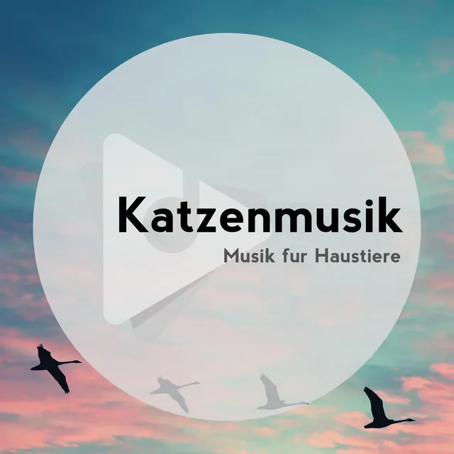 Katzenmusik