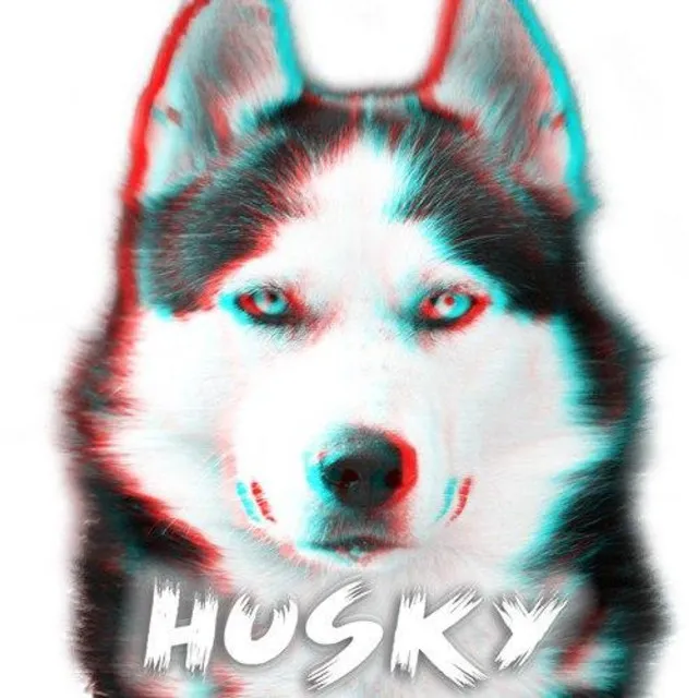 The Husky