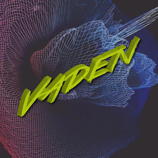 Vaden