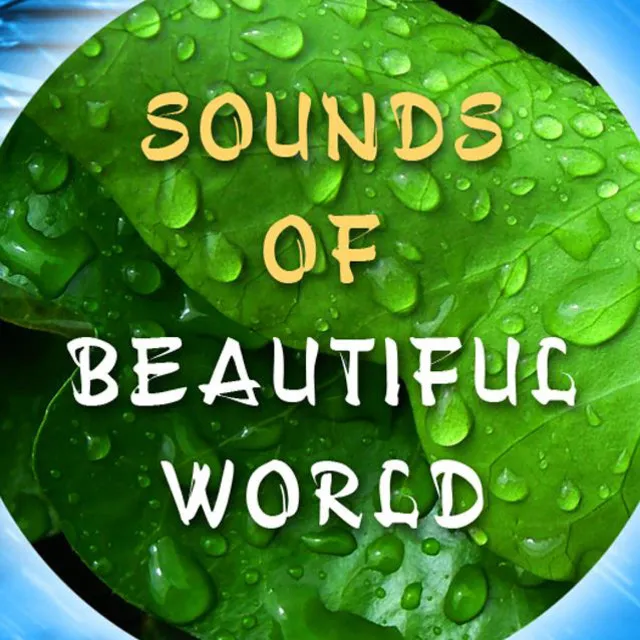 Sounds of Beautiful World