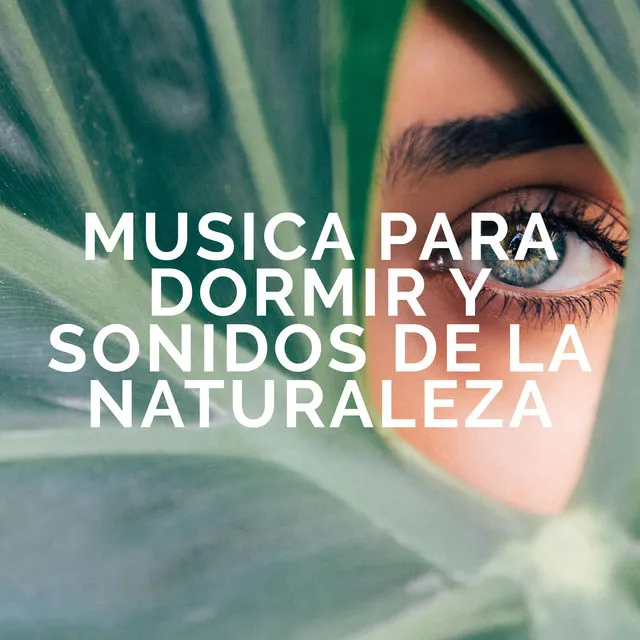 Musica Para Dormir y Sonidos de la Naturaleza