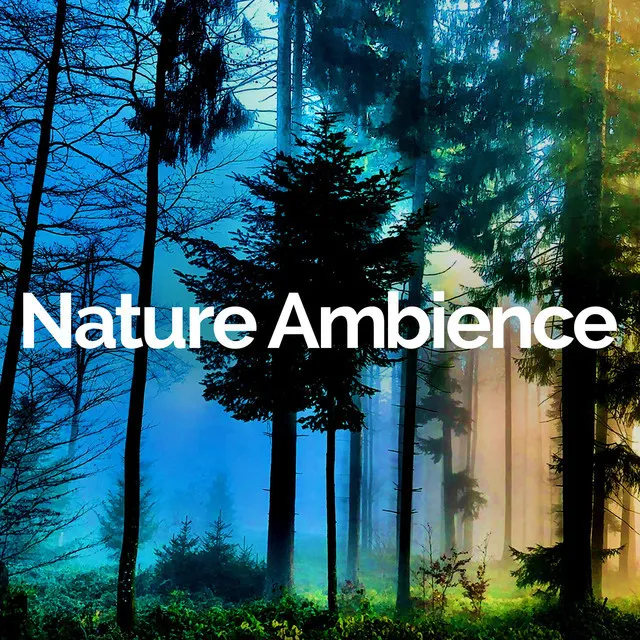 Nature Ambience