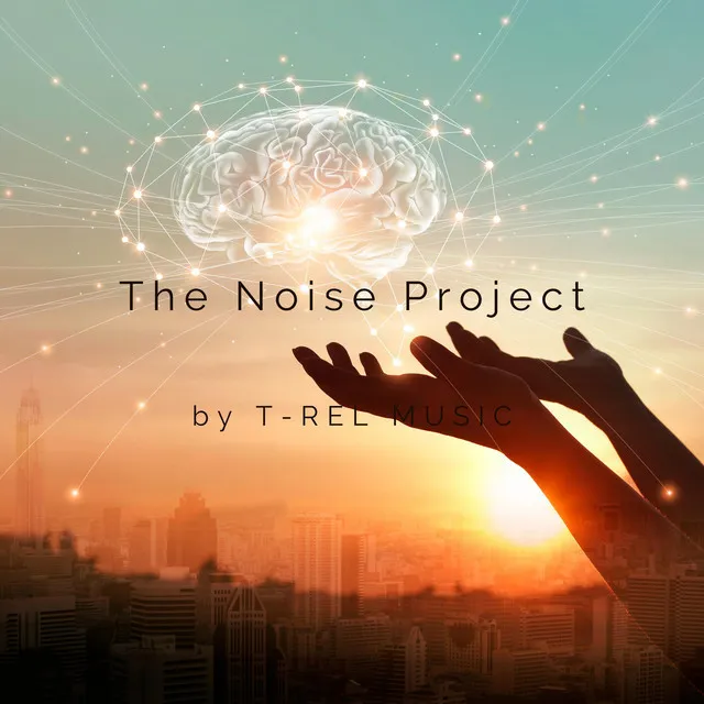 The Noise Project