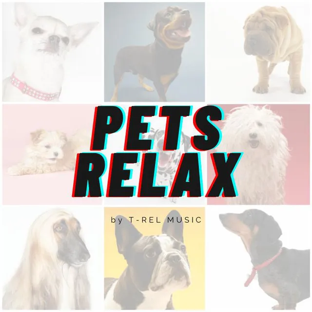 Pets Relax