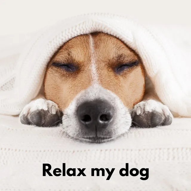 The Dog Relaxer