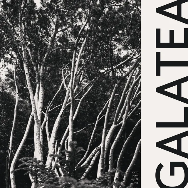 Galatea