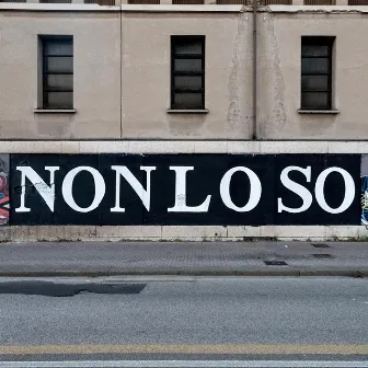 NON LO SO by Guser