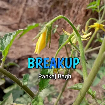 Breakup by Pankaj Bagh