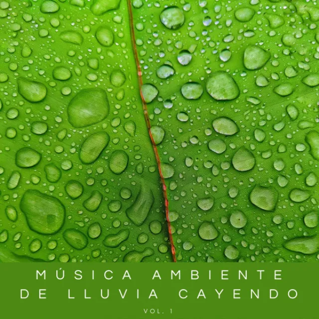 Música Ambiente De Lluvia Cayendo Vol. 1