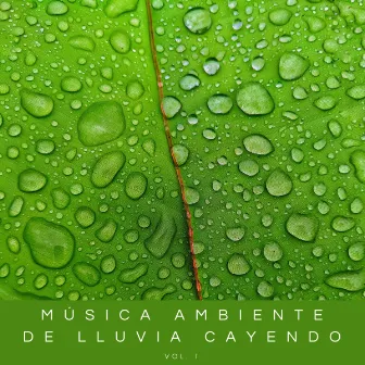 Música Ambiente De Lluvia Cayendo Vol. 1 by Música de Estudio Relajante