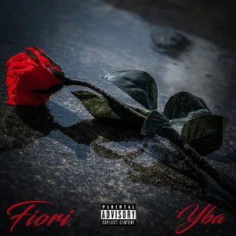 Fiori by YBA