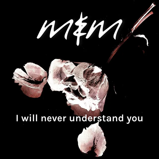 I will never understand you - Der Energieberater Remix