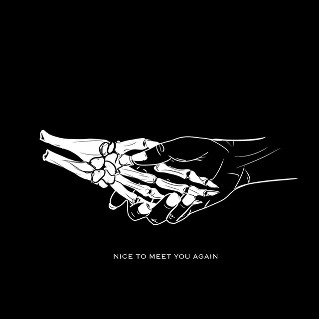 Nice to Meet You Again