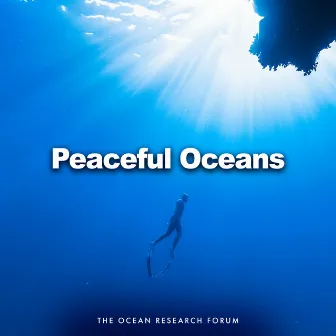 Peaceful Oceans by Unknown Artist