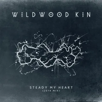 Steady My Heart (2018 Mix) by Wildwood Kin