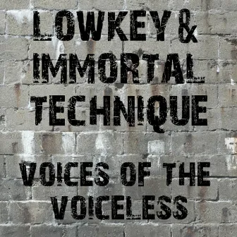 Voices Of The Voiceless - Single by Lowkey