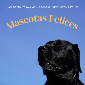 Mascotas Felices: Calmante De Música De Bosque Para Gatos Y Perros by Sonidos Del Bosque