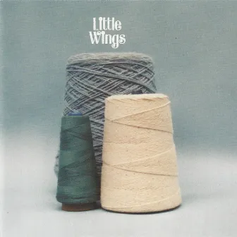 The Wonder City (Re-Issue) by Little Wings