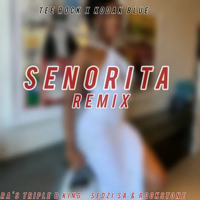 Senorita Remix