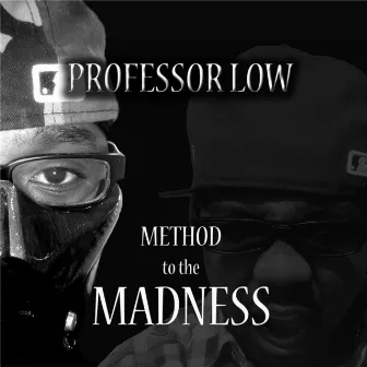 Method to the Madness by Professor Low