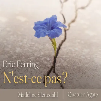 N'est-ce pas? by Eric Ferring