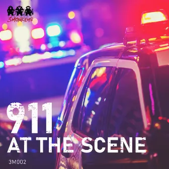 911: At the Scene by Klas Wahl