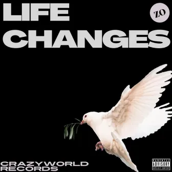 Life Changes by ZO