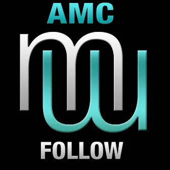 Follow (Radio Edit) by AMC