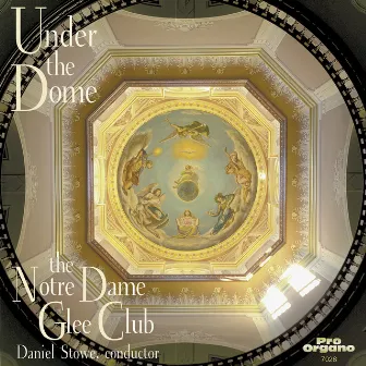 Under the Dome by Daniel Stowe