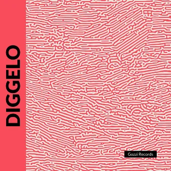 DIGGELO by ALLC