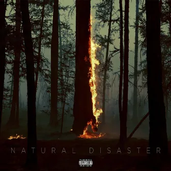 Natural Disaster (2022) by Damon Dillinger