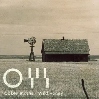 Wild Honey by Oaken Moths