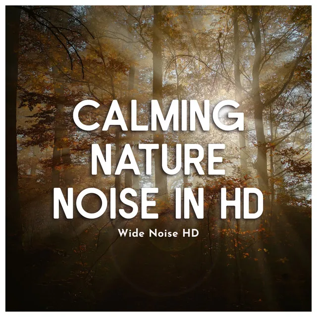 Calming Nature Noise in HD