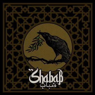 Shabab by Shabab