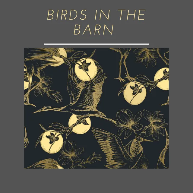 Birds In The Barn