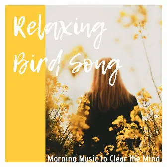 Relaxing Bird Song: Morning Music to Clear the Mind by Cricket Sounds