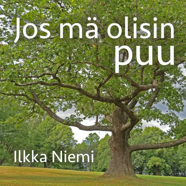 Jos mä olisin puu