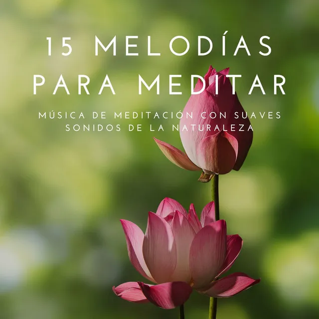 15 Melodías para Meditar: Música de Meditación con Suaves Sonidos de la Naturaleza